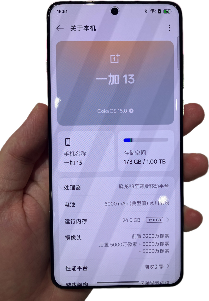 OnePlus 13