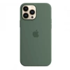 Apple iPhone 13 Pro Max Silicone Case MagSafe - Green (Eucalyptus)