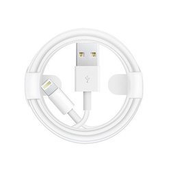 Apple iPhone MD818ZM/A USB Lightning cable - 1m