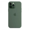 Apple iPhone 13 Pro Max Silicone Case MagSafe - Green (Eucalyptus)