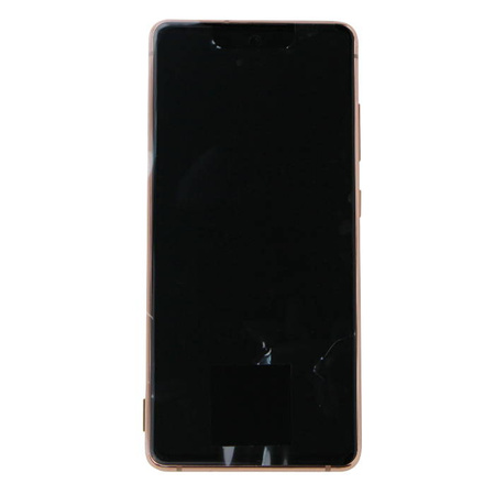 Samsung Galaxy S20 FE LCD display - orange (Cloud Orange)