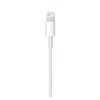 Apple USB-C to Lightning cable - 2 m