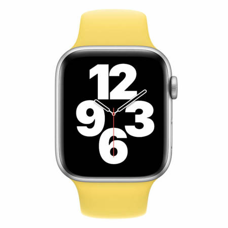 Apple Watch 1/ 2/ 3/ 4/ 5/ 6/ 7 Series 38/ 40/ 41mm pasek Sport Band MGQR3ZM/A - imbirowy (Ginger)