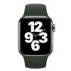 Silikonowy pasek Apple Watch 38/ 40/ 41 mm Sport Band - zielony (Cyprus Green)